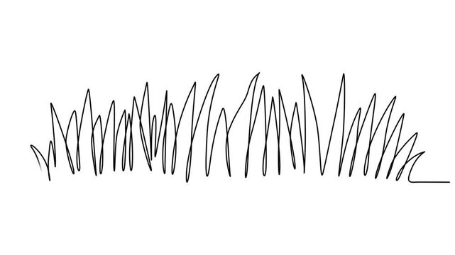 Grass continuous one line drawing animation video. Full length single line animation, Grass in one continuous line drawing 4k animation video, Cow in the meadow. Self-drawing a simple animation of one