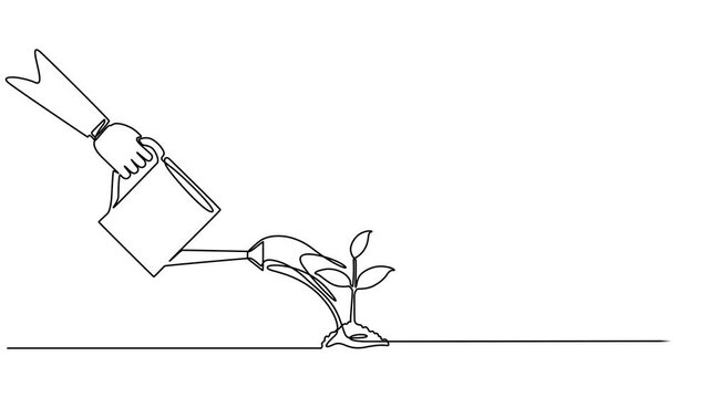 hand with can watering plant at garden continuous one line drawing animation, Animation of single continuous line drawing hand holds a lump of soil with flowering plant and watering it with watering