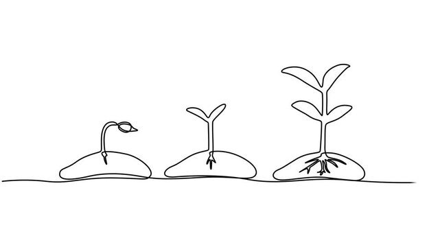 plant growing line art doodle draw process whiteboard symbol sign concept, Animated self drawing of continuous line draw.  nature theme with plant. Concept of growing and love earth. Full length one.