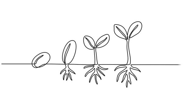 plant growing line art doodle draw process whiteboard symbol sign concept, Animated self drawing of continuous line draw.  nature theme with plant. Concept of growing and love earth. Full length one.