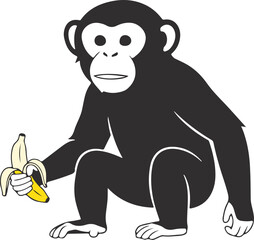 A dark gray chimpanzee character sitting and holding a peeled yellow banana in its left hand with a white background