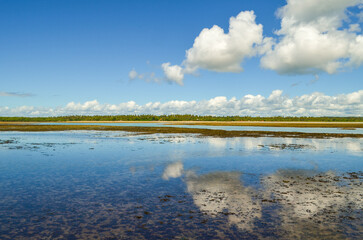 Paraíso Beach shines with blue tones, tropical breezes, and palm trees dancing under the sun on Boipeba Island, Bahia.