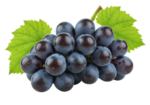 Vibrant, plump dark purple grapes with waxy bloom, green stem, two leaves. Isolated on transparent, copy space, soft studio light, macro Concept of natural freshness and healthy abundance