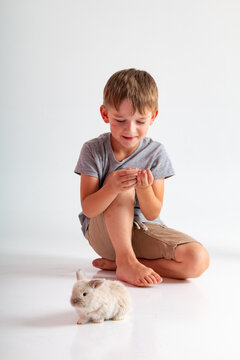 rabbit, boy, Easter, white, game, man and nature
