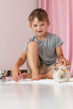 rabbit, boy, Easter, white, game, man and nature