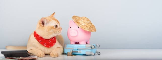 Burmese cat with calculator, piggy bank and toy suitcase on minimalist background