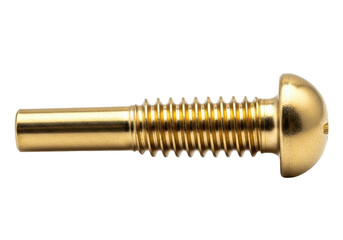 Isolated brass screw with a rounded head commonly used for fastening objects together
