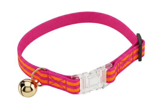 Isolated pet accessory collar with gold bell and pink and orange woven band, clear buckle