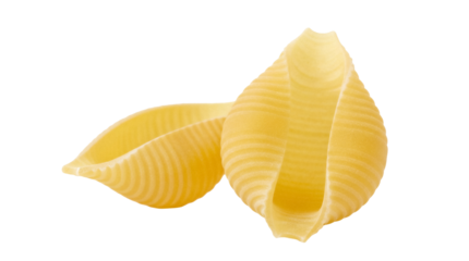 Conchiglie pasta isolated PNG on transparent background, large seashell shaped pasta for Italian cuisine and food photography