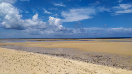 Paraíso Beach reveals crystal blue waters framed by a lone palm tree on Boipeba Island, Bahia, Brazil.