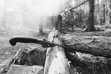 Hand saw biting into a freshly cut log. Bushcraft activity of preparing firewood for a campfire....