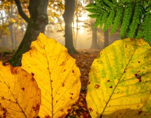 Autumn forest with vivid foliage. Foreground leaves in warm hues, lush green fern, hazy background forest scene
