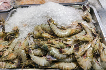 Fresh raw shrimp on ice at seafood market display