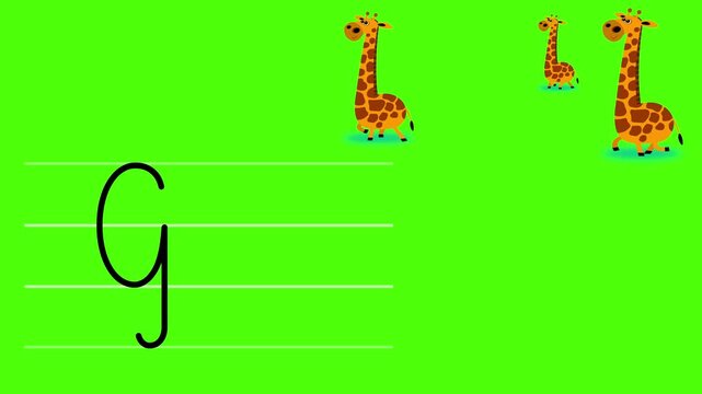 G letter writing like giraffe color cartoon animation. A part of the alphabet serie. Handwriting educational style for children. Good for education movies, presentation, learning alphabet, etc...