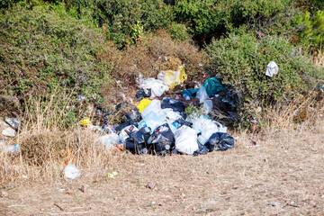 garbage thrown into the forest by people