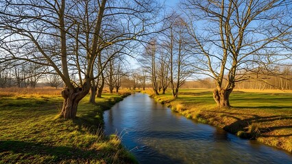 Tranquil river flowing through a winter landscape, illuminated by golden hour sun and bare deciduous trees.