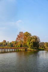 가을 단풍으로 물든 연못 풍경 