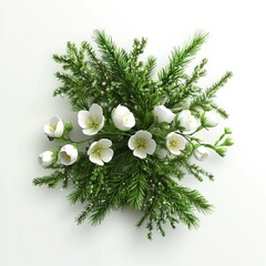 Christmas wreath, pine wreath, white flowers, Christmas, decoration, holiday, natural, background, white background, minimalist, high resolution, still life, door decor, table setting, festive, cheerf