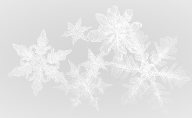 Ice winter snowflake frost frozen cold frame border white transparent decoration pattern.
