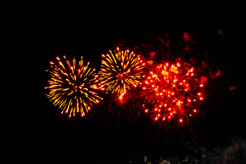 fireworks bursting in the night sky during a festive celebration event