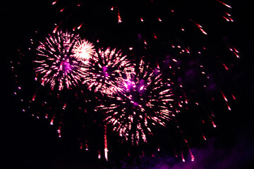 fireworks bursting in the night sky during a festive celebration event