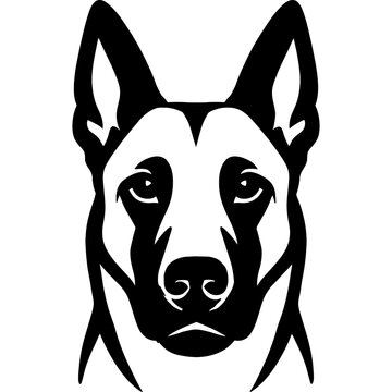 Black vector silhouette of belgian malinois head