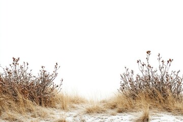 Obraz premium Ground landscape scenery nature.