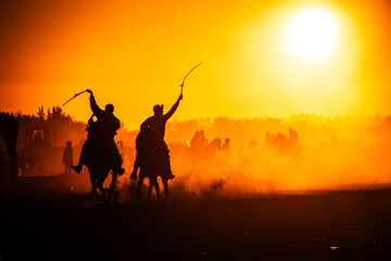 cours du cheval en coucher de solier