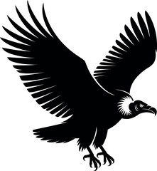 Black vulture in flight bird flying