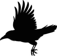 Black bird in flight silhouette crow