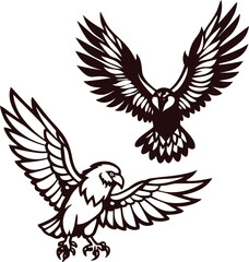 Obraz premium Two Eagles in Flight with Wings Extended bird birds