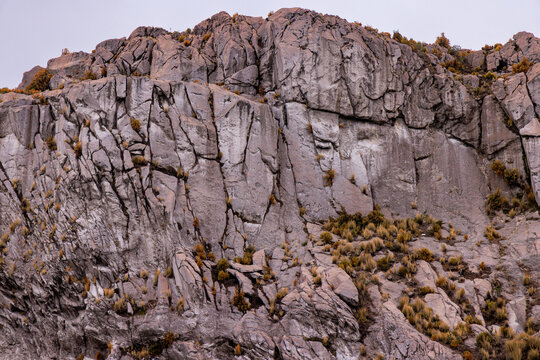 Primer plano detallado de la pared rocosa andina: Textura geol&oacute;gica, fracturas y patrones de grietas en la roca gris de alta monta&ntilde;a, Parque Nacional Los Nevados, Colombia. Fondo de textura natural, r