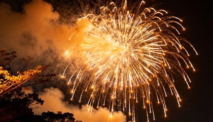 Bright Golden Fireworks Exploding in the Night Sky with Smoke and Tree Silhouettes