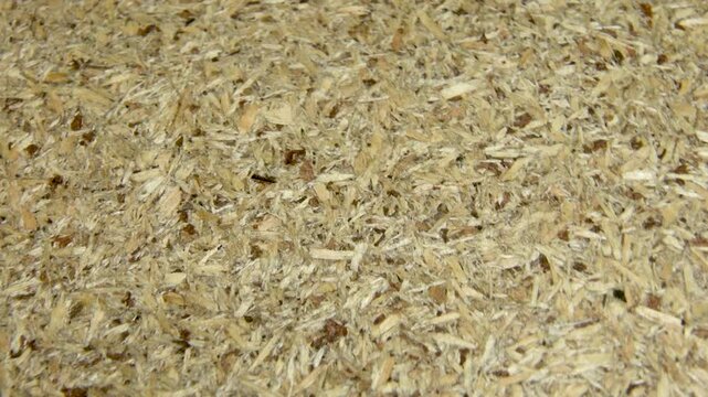 Part of the chipboard, close-up