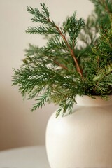 Aesthetic Winter Holiday Scenes Filled with Christmas Magic and Cozy Seasonal Charm