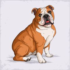 Obraz premium Hand drawn sitting English bulldog illustration with detailed wrinkles and stocky build, expressive brown domestic dog breed artwork