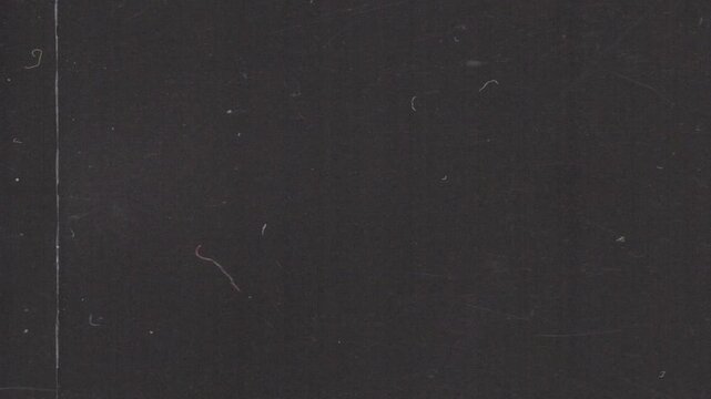 Cinematic analog film grain loop with subtle grind texture and dust artifacts. Ideal as an overlay or background for editors seeking authentic retro aesthetics in horizontal format.