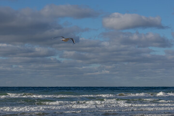 View of the sea and clouds in winter. The waves on the sea turn into a blue sky with clouds. Winter sea during a storm. The flight of a seagull on the sea.