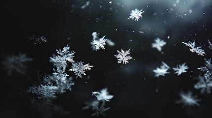 A dark, slightly blurred shot showcasing many intricate, icy crystals floating in air