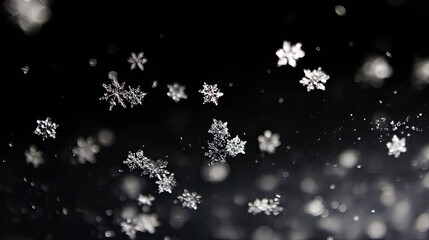 Detailed image of snowflakes suspended in mid-air against a blurred dark background