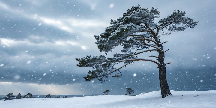 Winter landscape with snowy tree during snowfall creating cold environment scenic view and seasonal background with snowflakes falling gently down exactly 200 characters