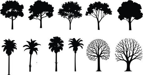 Fototapeta premium Collection of black tree silhouettes featuring deciduous, palm, and leafless winter trees isolated on white background for landscape design.