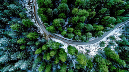 Top-Down Aerial View of a Forest Road Surrounded by Early Winter Snow