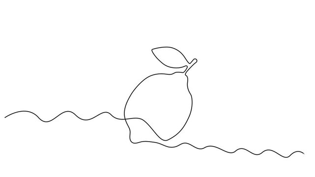 One line lemon animation. Continuous fruits and vegetables video. Natural, Self drawing simple animation of single continuous one line drawing of citrus fruit Lemon. Full length animation, Fresh lemon