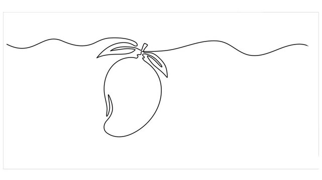 Animation of single one line drawing of healthy organic mangoes for orchard logo identity. Fresh tropical fruitage concept for fruit garden icon. Continuous line self draw animated. Full length motion