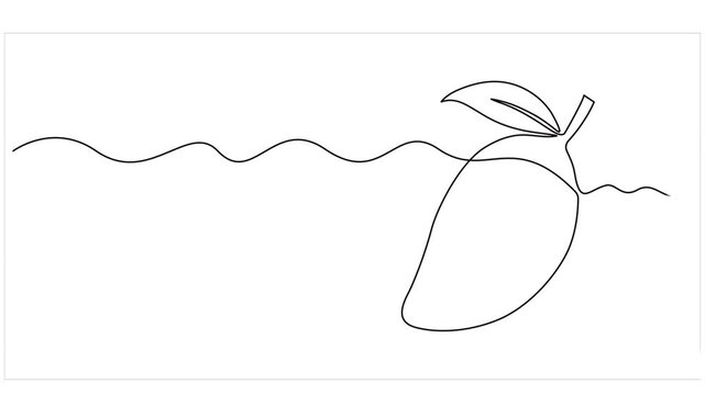 Animation of single one line drawing of healthy organic mangoes for orchard logo identity. Fresh tropical fruitage concept for fruit garden icon. Continuous line self draw animated. Full length motion
