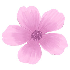 Elegant Watercolor Flower Botanical Illustration