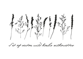 Set of plants vector silhouette. Summer illustration elements. ESP 10.