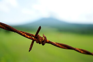 Old rusty barbed wire fence close-up, blurred green landscape