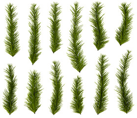 Christmas Pine Branches Set – Transparent Isolated Evergreen Decoration Pack